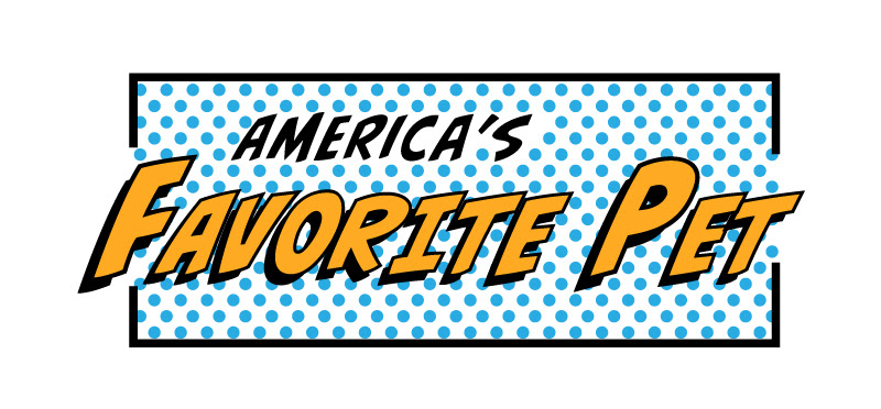 Please vote for The Band Famous's Kid for America's Favorite Pet!